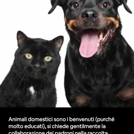 Nel Cuore Etrusco Dell'umbria アパート *